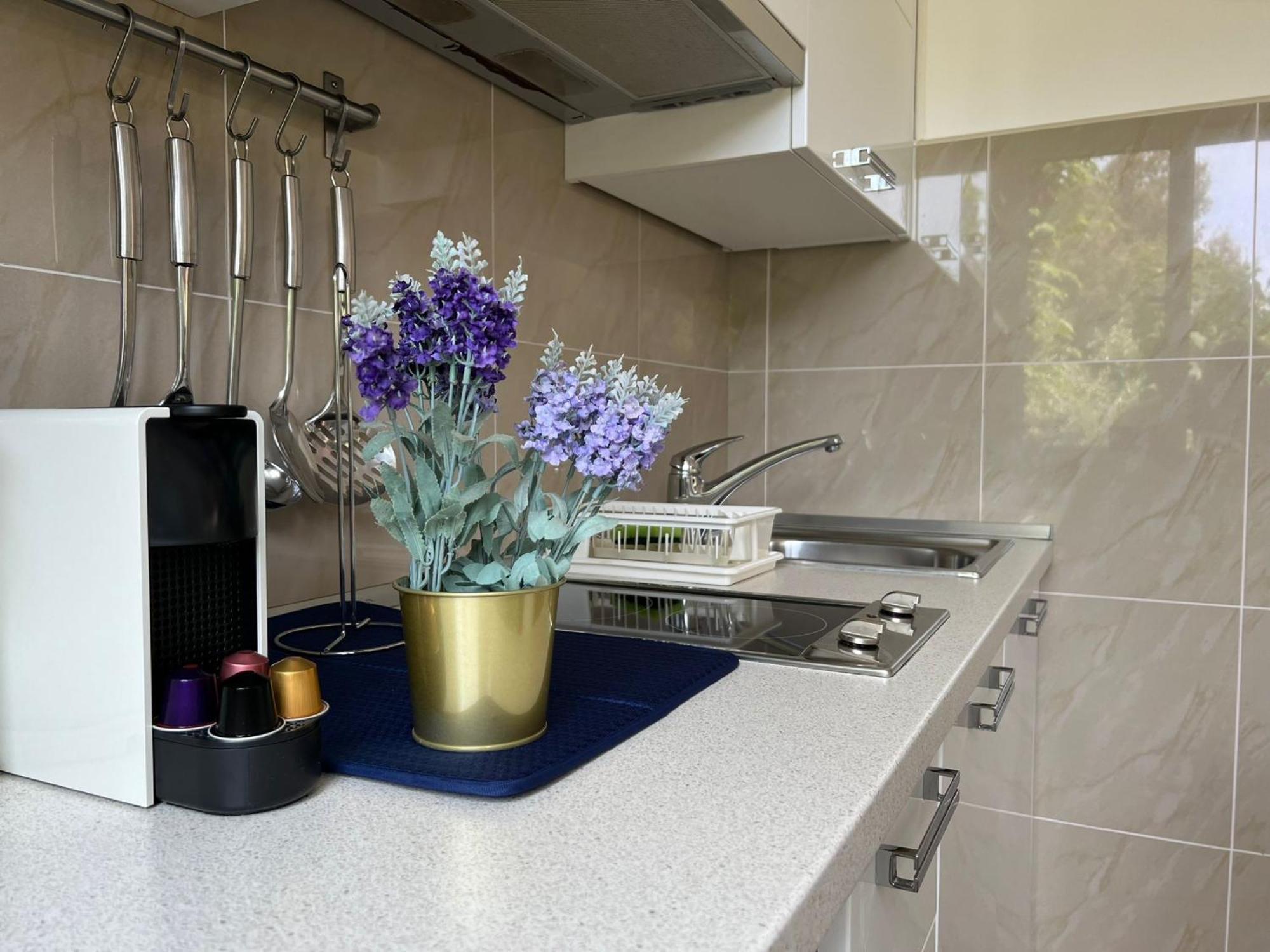 Villa Kos Rovinj Apartments מראה חיצוני תמונה
